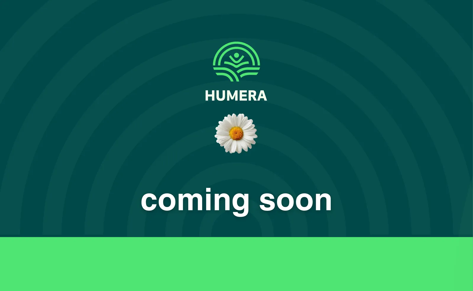 Humera - قريباً